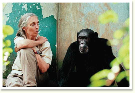 Jane Goodall Institute - Singapore